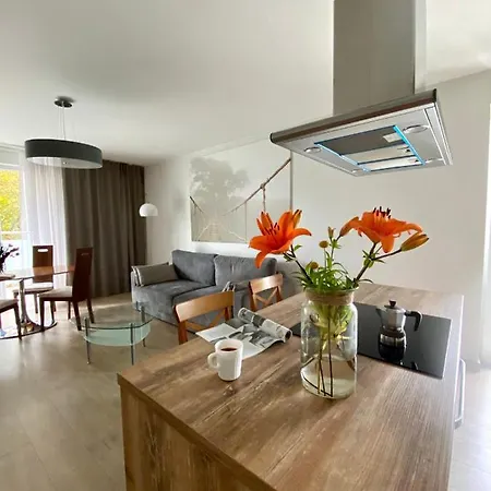 Aravel Old Town 公寓 *